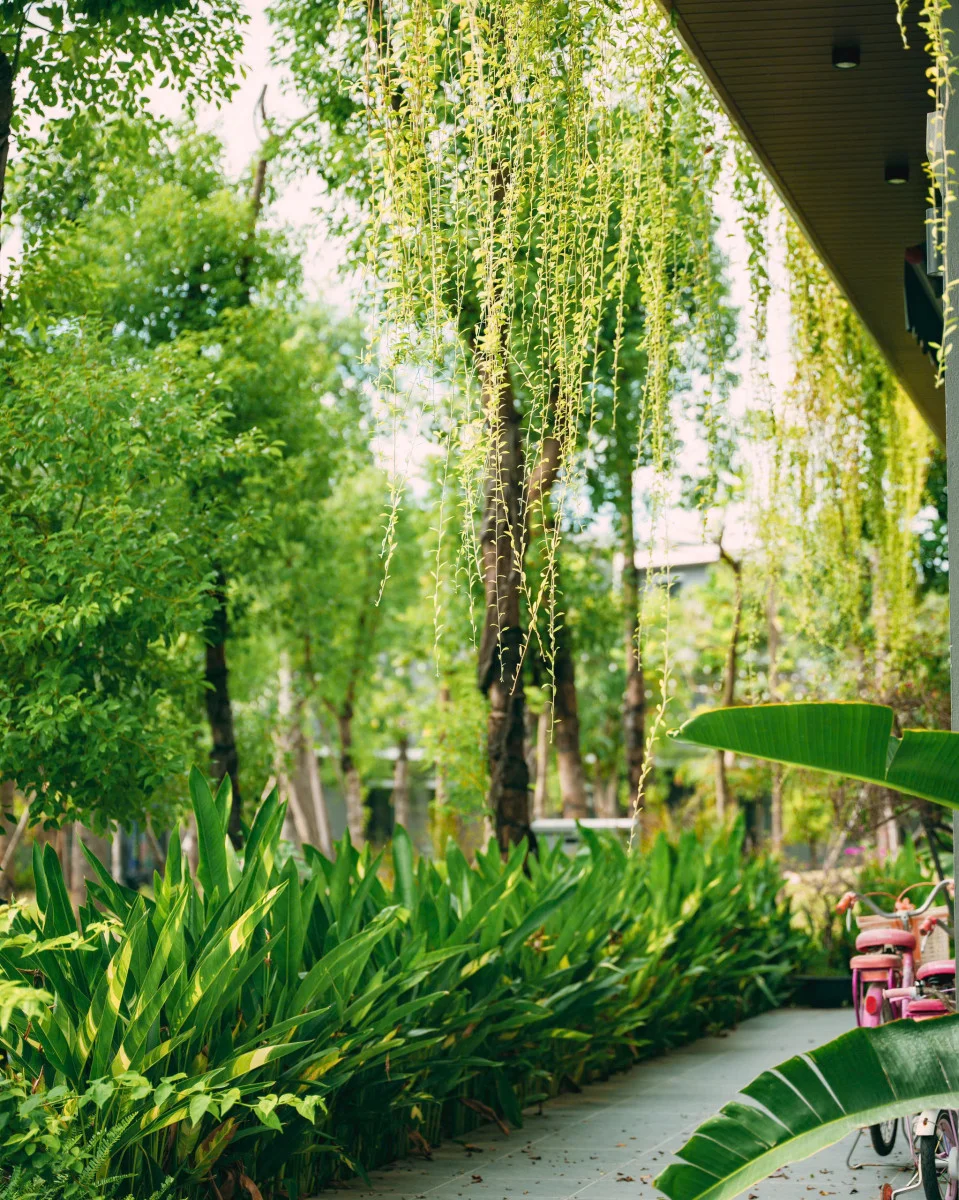 loi khuyen tu chuyen gia: co nen Đau tu vao ecopark vinh hien tai?